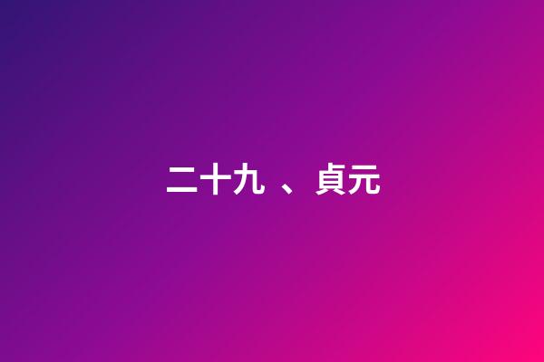 二十九、貞元